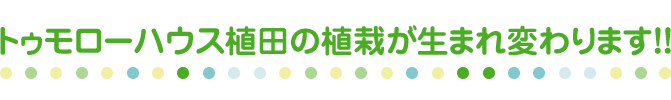 トゥモローハウス植田の植栽が生まれ変わります！！