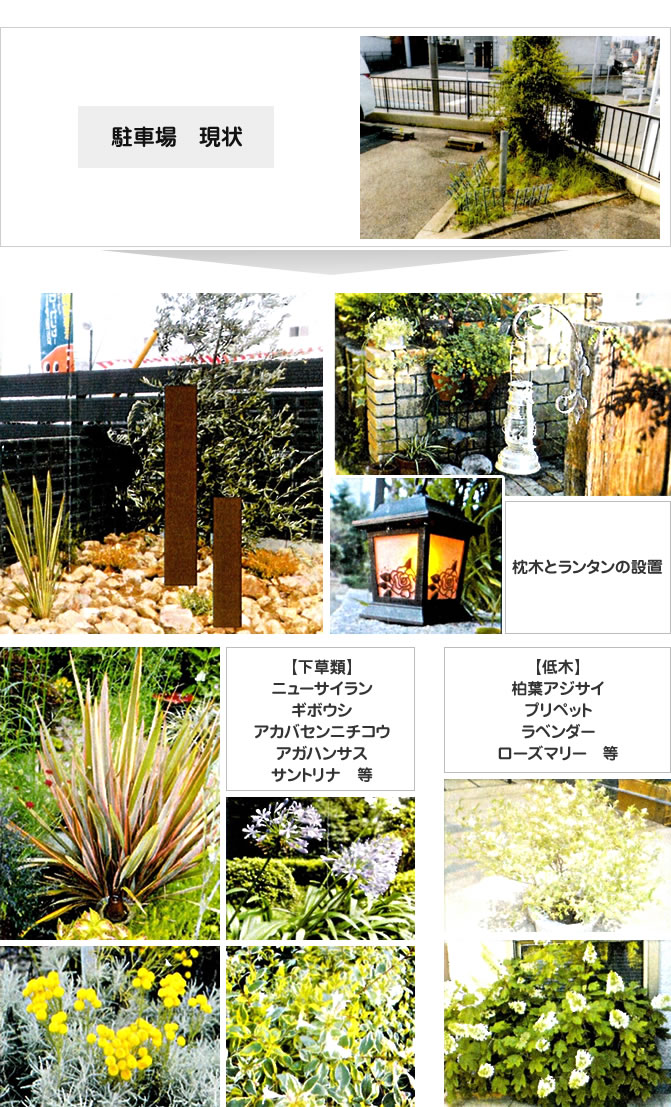 植栽リニューアル　イメージ写真