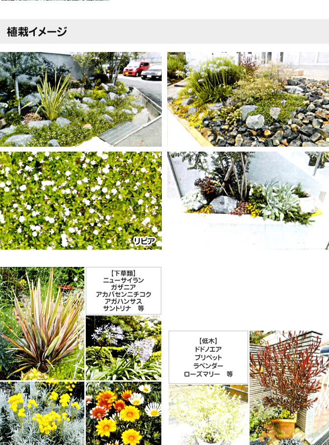 植栽リニューアル　イメージ写真